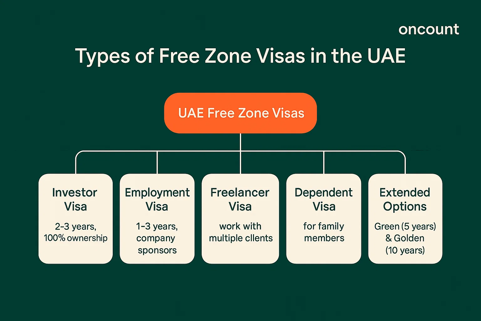 A comprehensive infographic summarizing the different types of Free Zone visas in the UAE.