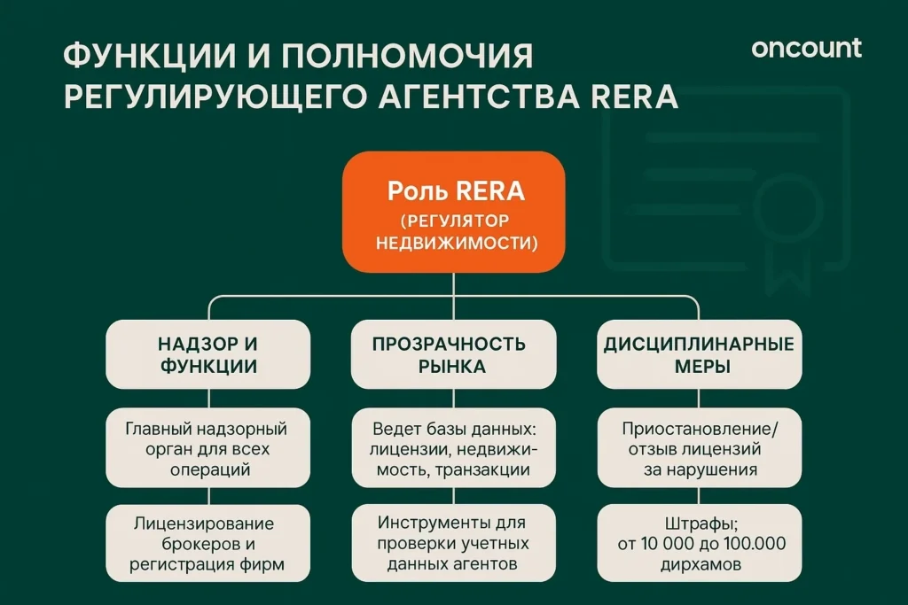 Инфографика о полномочиях RERA: лицензирование брокеров, обеспечение прозрачности рынка, публикация данных и дисциплинарные штрафы (10 000 – 100 000 дирхамов).