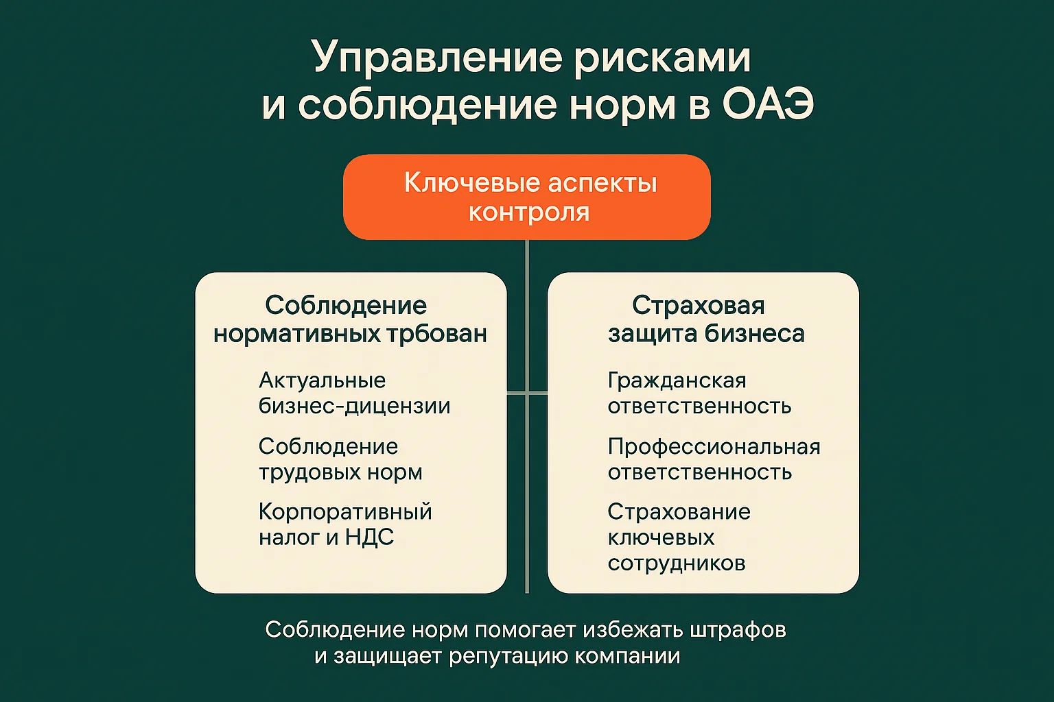 Инфографика, подробно описывающая ключевые аспекты управления рисками и соблюдения нормативных требований при открытии бизнеса в ОАЭ.