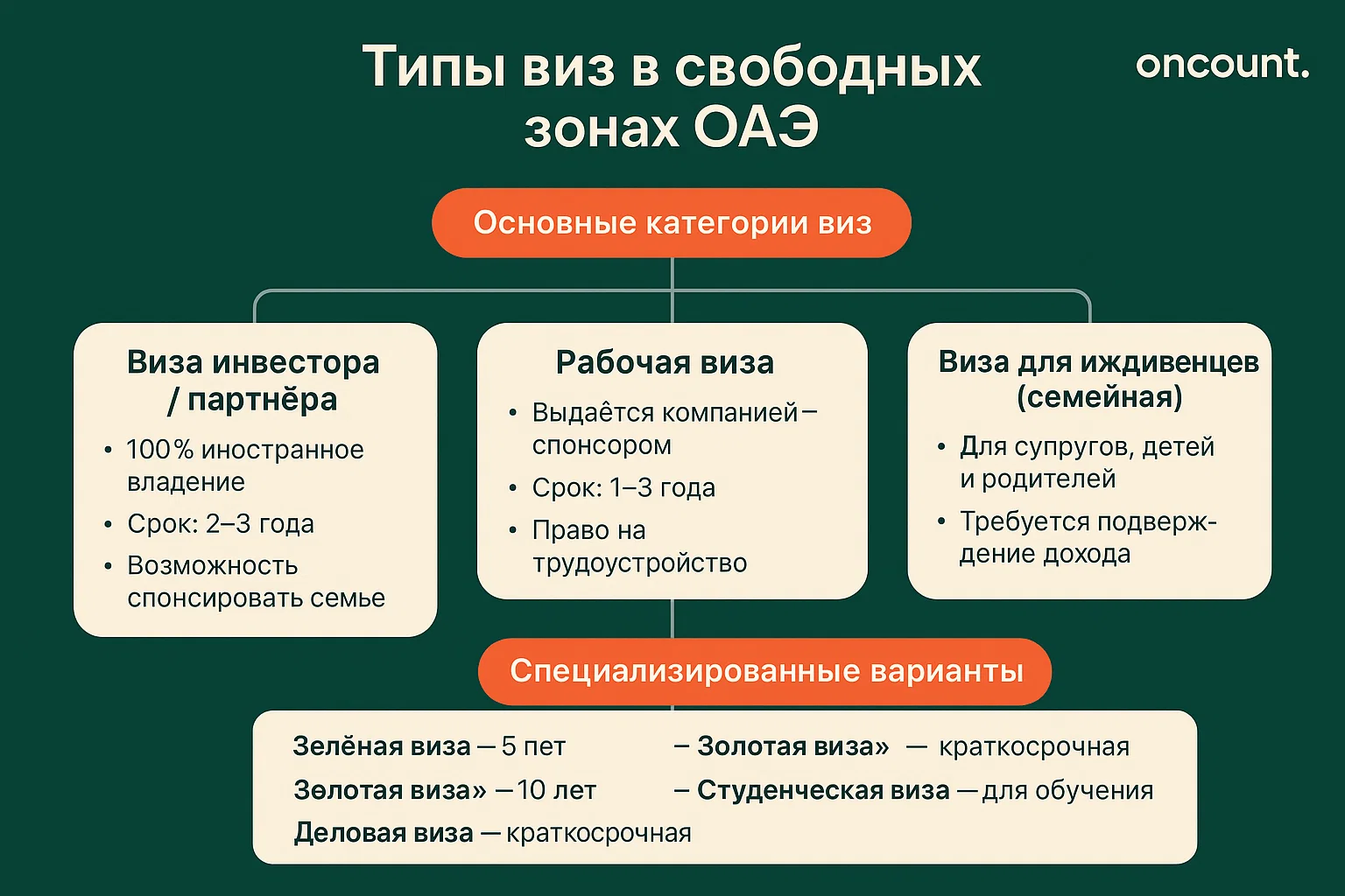 Подробная инфографика, обобщающая различные типы виз в свободных зонах ОАЭ.