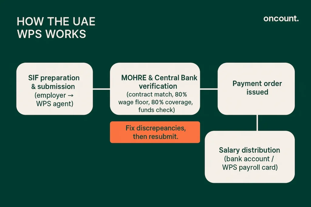 How the UAE Wage Protection System works showing four stages of salary processing.
