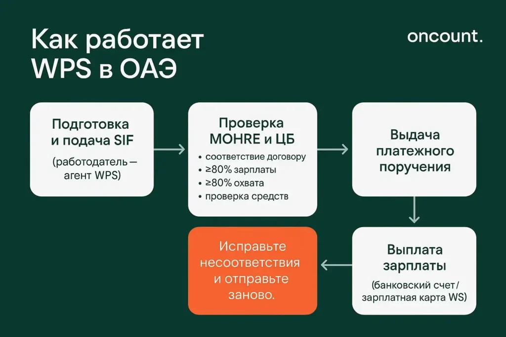Как работает система защиты заработной платы WPS в ОАЭ, четыре этапа процесса.