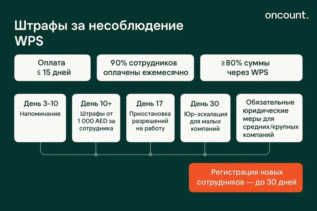 Штрафы за несоблюдение WPS в ОАЭ и сроки применения санкций.
