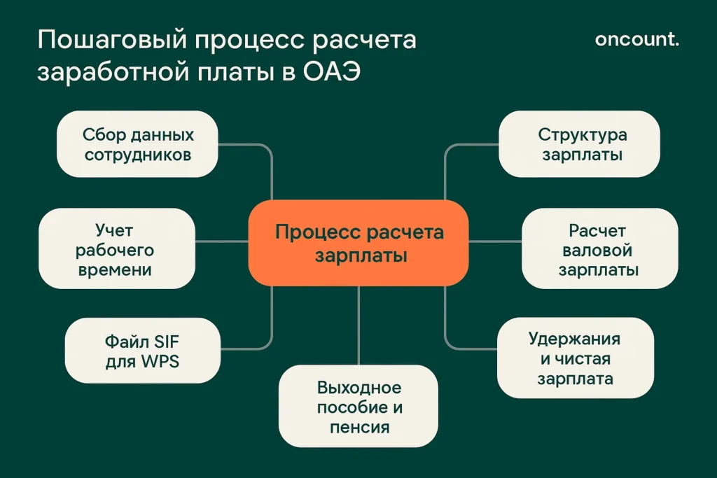 Пошаговый процесс расчета зарплаты в ОАЭ. Основные этапы расчета.