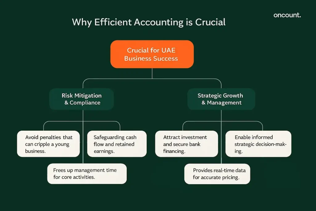Infographic illustrating the critical benefits of efficient accounting, focusing on penalty avoidance, financing, and strategic decision-making in the UAE.