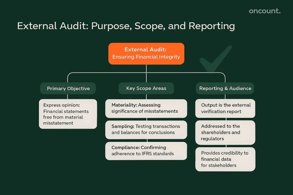 Decision-tree infographic outlining the scope, primary objectives, and reporting of the External Audit.