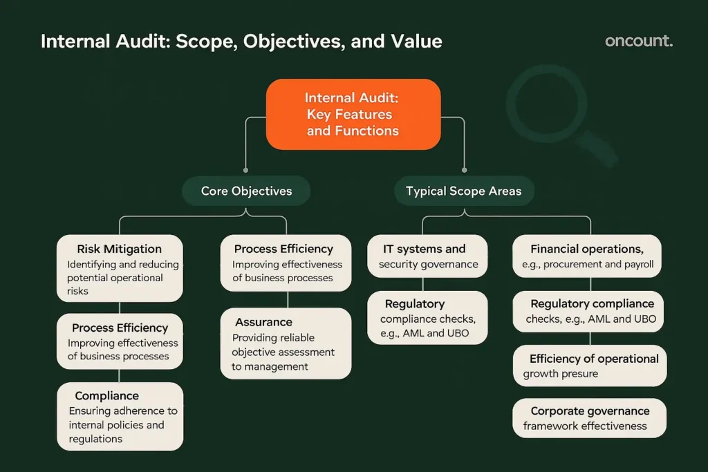 Decision-tree infographic outlining the core objectives and typical scope of the Internal Audit function.