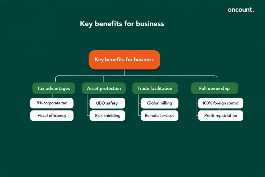 Infographic displaying tax advantages, asset protection, trade facilitation, and ownership rules for Dubai offshore entities.