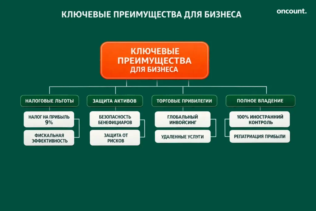 Инфографика о налоговых льготах, защите активов и правилах владения для офшорных компаний в Дубае.