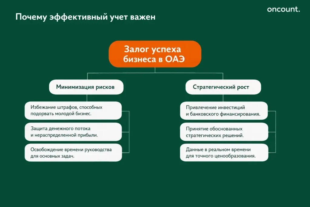 Инфографика о важности учета в ОАЭ: защита от штрафов, финансовое управление и стратегический рост компании.