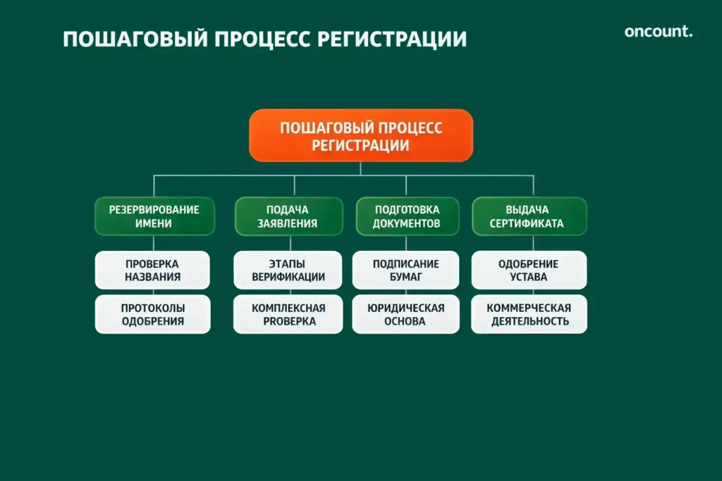 Инфографика, показывающая четыре основных этапа регистрации офшорной компании в ОАЭ.