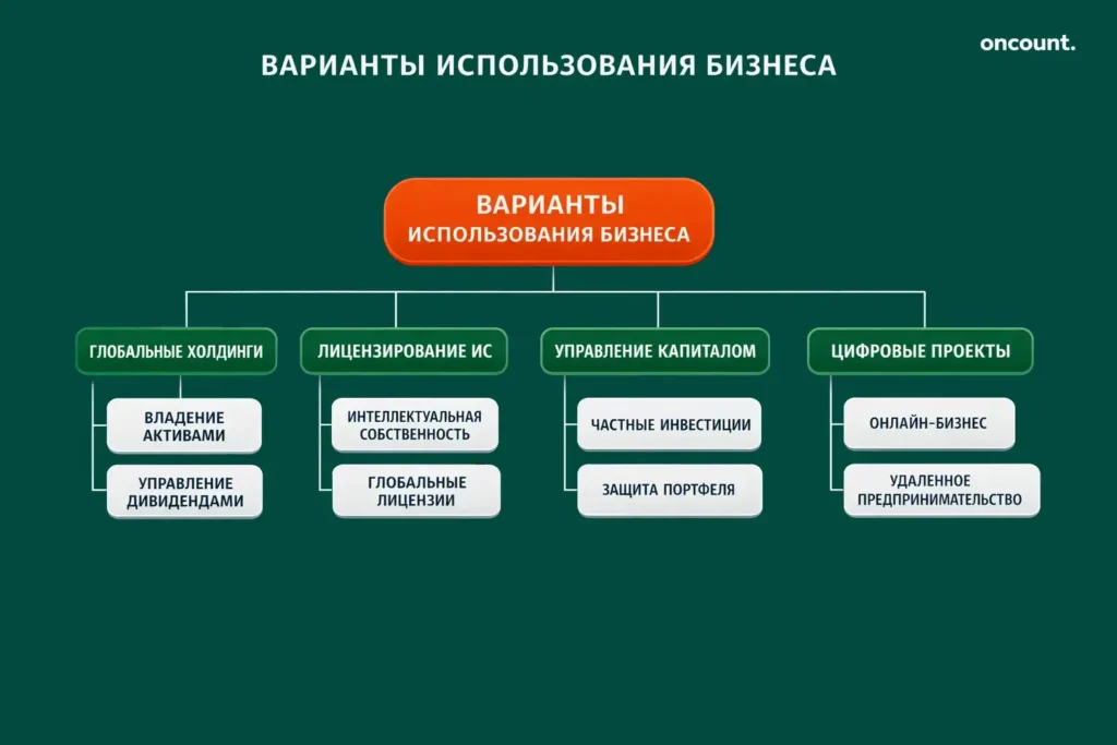 Инфографика о холдингах, лицензировании ИС, управлении капиталом и цифровом бизнесе.