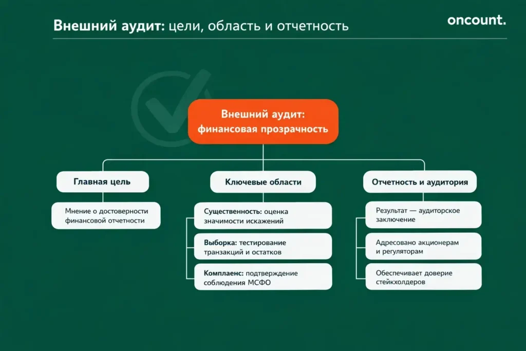 Инфографика, представляющая область применения, основные цели и порядок отчетности внешнего аудита.