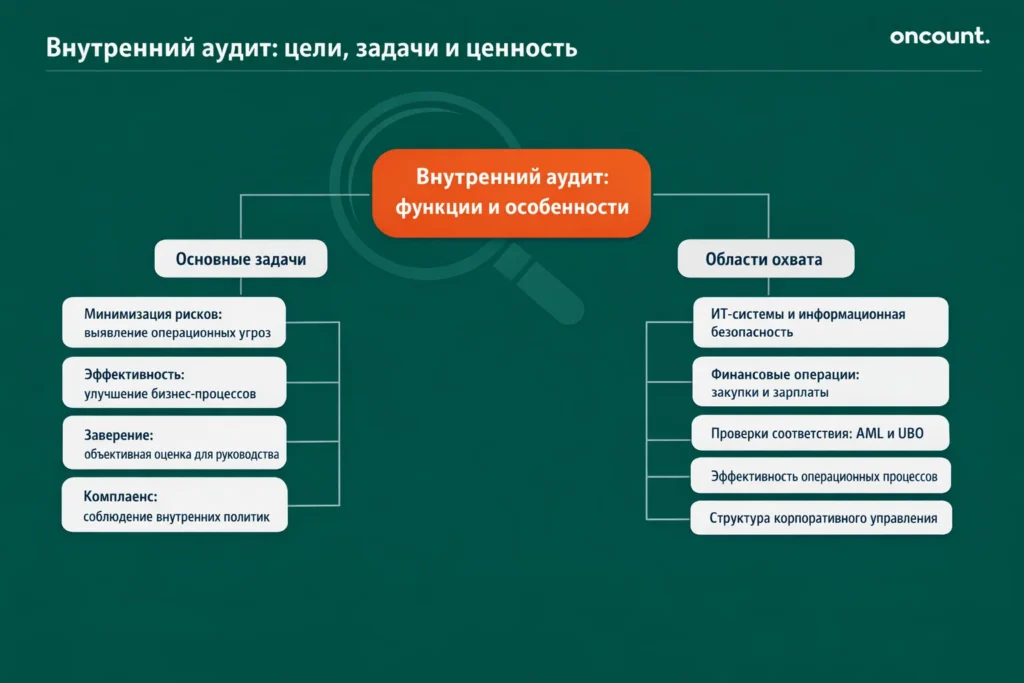 Инфографика, описывающая основные задачи и типичную область применения функции внутреннего аудита в компании.