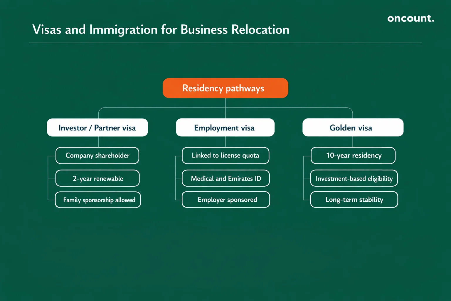 Dubai business visas and immigration pathways infographic.